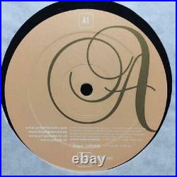 Aaliyah I Care 4 U 2LP Record Value Guaranteed Rare From Japan Good Condition