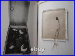 Pictorial record Joseph Beuys from Japan Popular Difficult to obtain 202304M