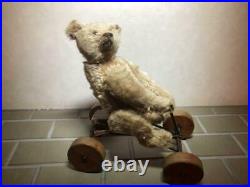 Record Teddy Bear Antique Steiff 1913 Plushie F/S From Japan