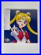 Sailor_Moon_30th_Anniversary_Memorial_Album_Color_Vinyl_LP_Record_from_Japan_01_gklg